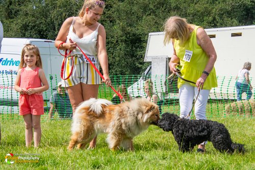 Smeeton Westerby Fete 2019